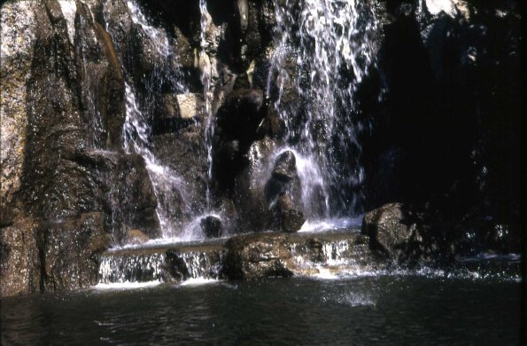 s2_013_BabyElephantAdventureland