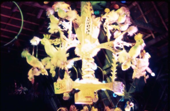 s2_024_EnchantedTikiRoomParrotsAndMaccawsDisneyland