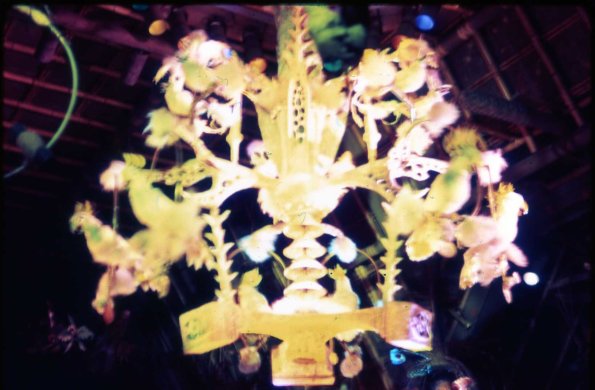 s2_025_EnchantedTikiRoomParrotsAndMaccawsDisneyland