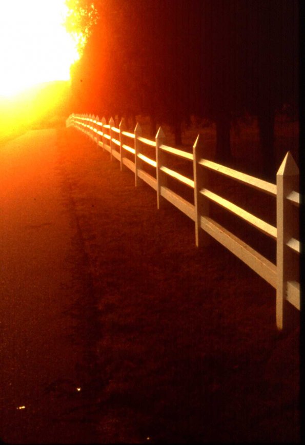 HalloweenWW_Slides_041