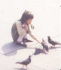 HollandWW_slides_021-detail_1